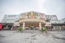 Day8: Tainan Outskirts: Hot Springs & Natural Wonders